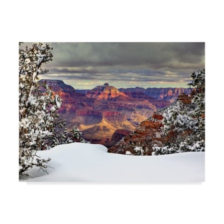 David Drost 'Snowy Grand Canyon I' Canvas Art,24x32